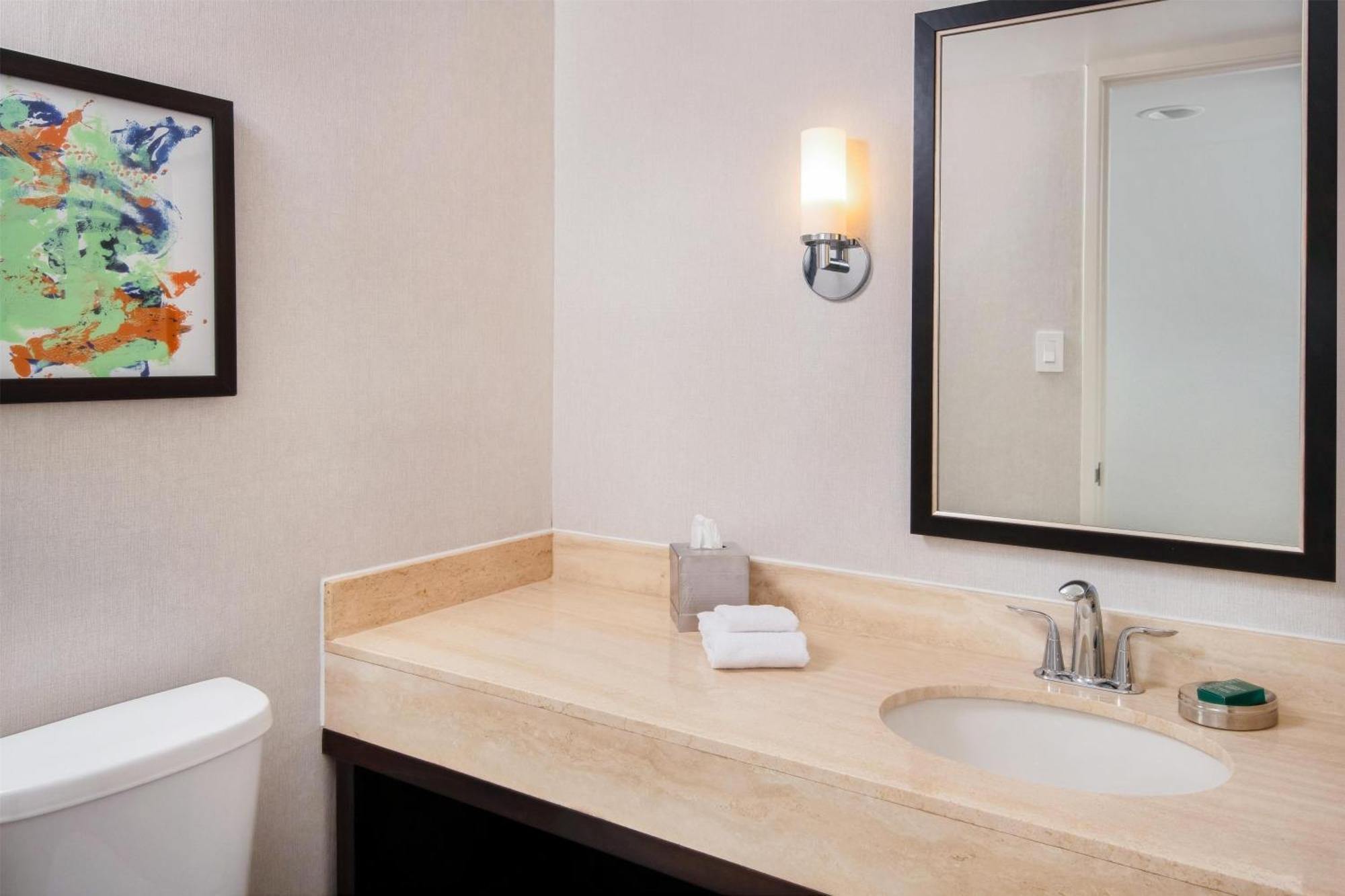 One-Bedroom King Suite