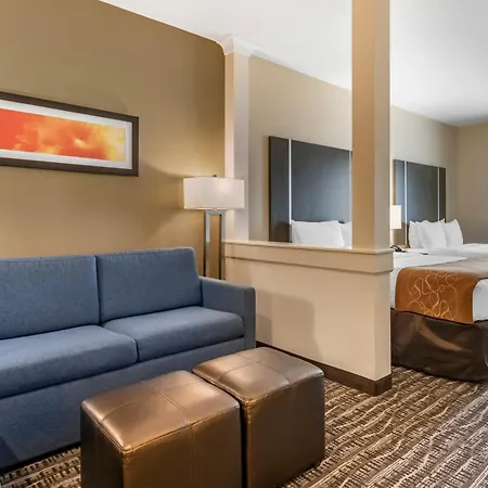 Comfort Suites Near Sam Houston Race Park-2