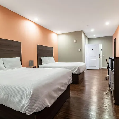 Scottish Inns & Suites Houston, Tx-3