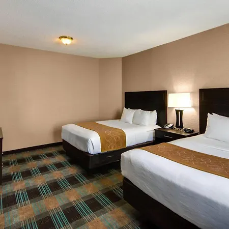 Comfort Suites Houston West At Clay Road-2